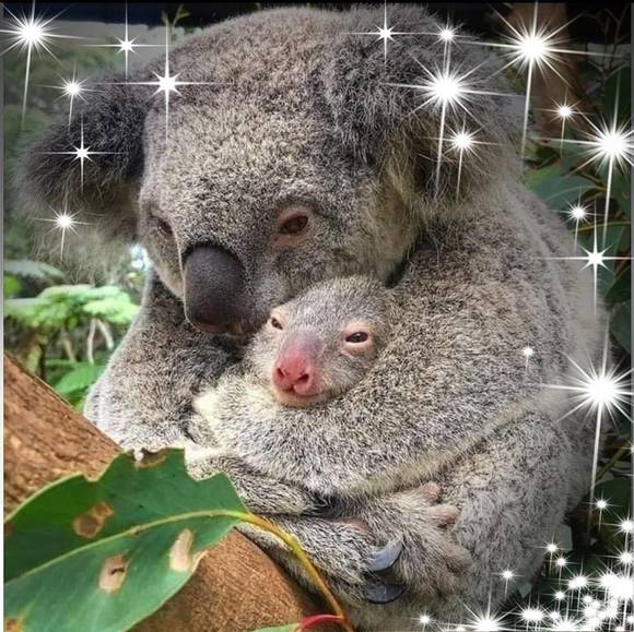 Meet your Posher, Megan - Picture 1 of 1